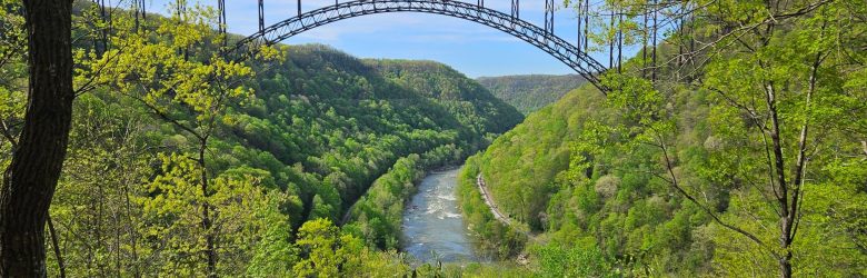 Highball to Thurmond Ultra 50 Mile, 50K, and Relay race in New River Gorge National Park West Virginia